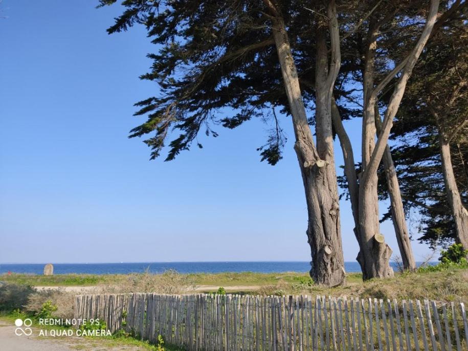 Logement En Rdc Port Haliguen Apartment Quiberon Exterior photo